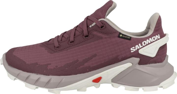 Produktbild Salomon Alphacross 4 GTX - 57155 (37 1/3)