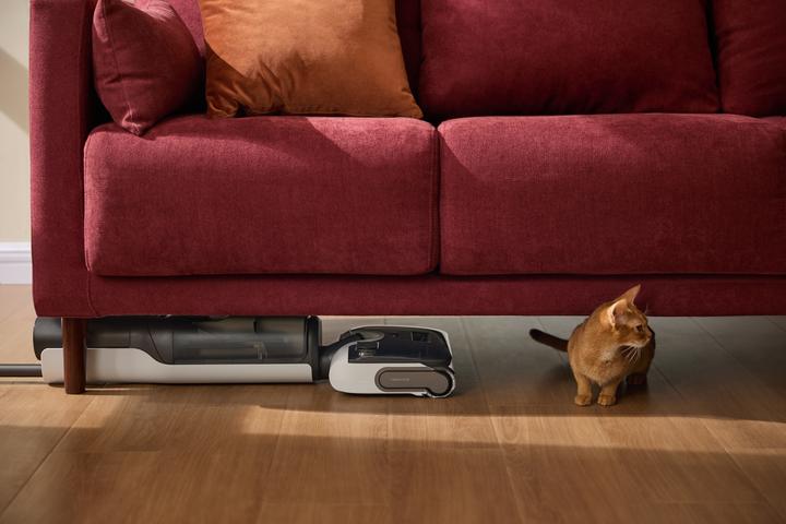 Productafbeelding Roborock F25