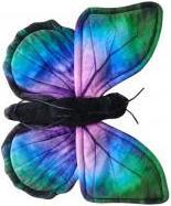 Produktbild Dubi Blauer Morphofalter