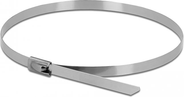 Immagine prodotto Delock Fascetta 50cm (confezione da 10) (Fascette in plastica, 500 mm, 10 pz.)