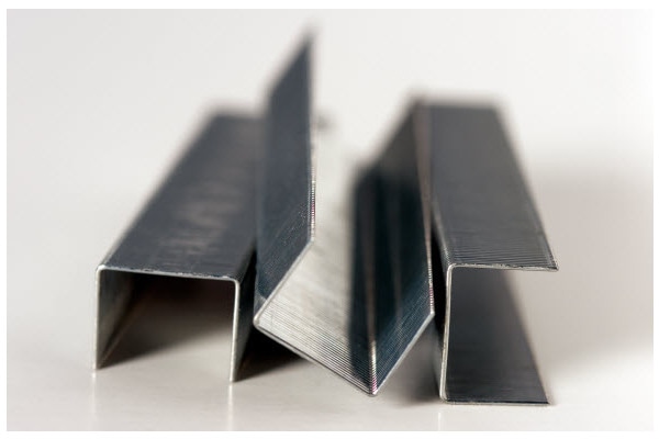 Actual product image Rapid Standard (1000 x)