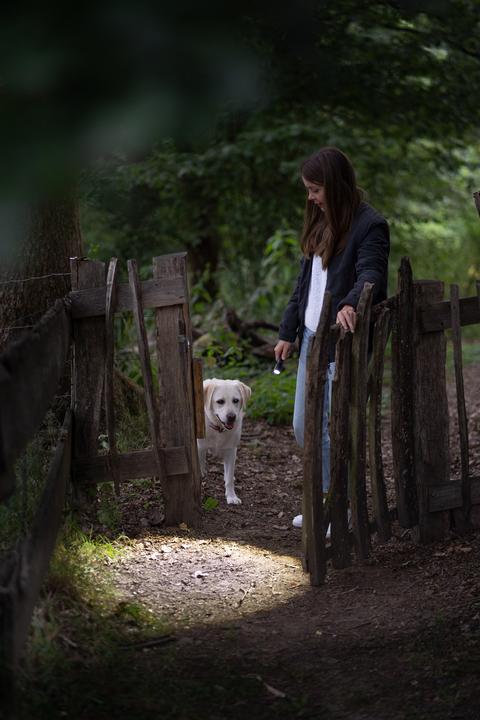 Immagine prodotto Ledlenser P5R Core (12.70 cm, 500 lm)