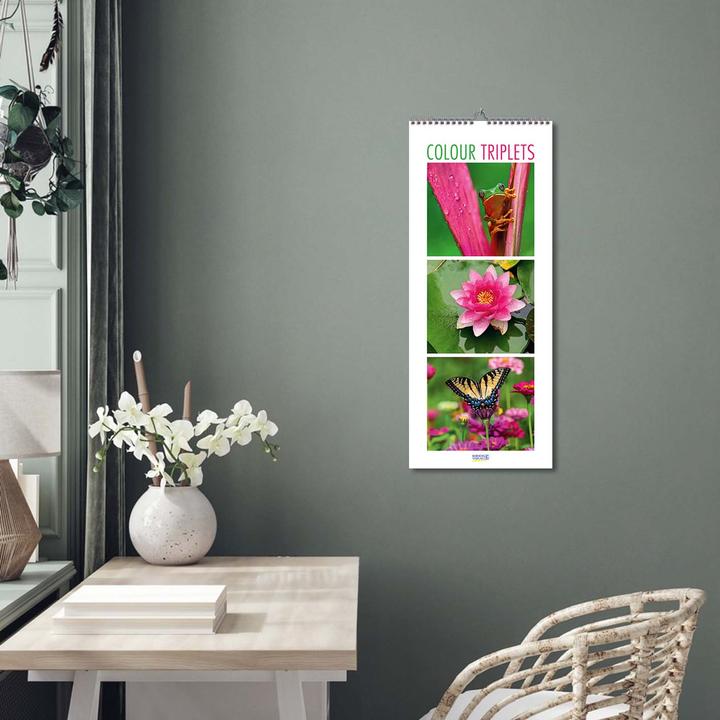 Produktbild Colour Triplets 2026