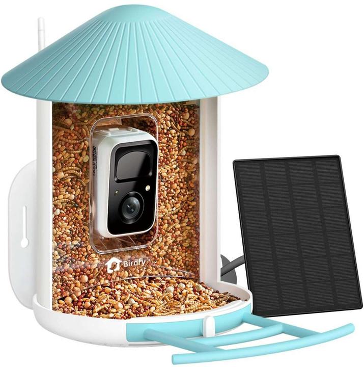 Birdfy Food dispenser
