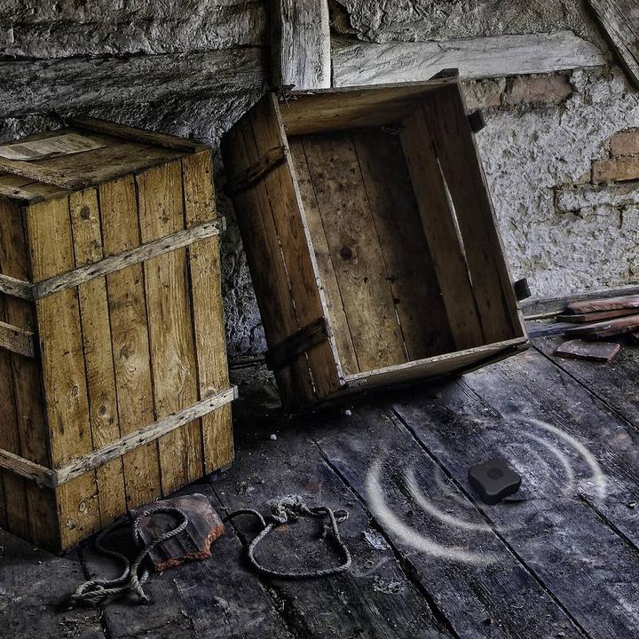 Actual product image Gardigo Mice Enemy Mobile