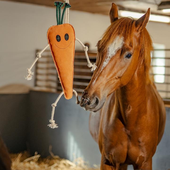 Productafbeelding Magni Hansbo sport - Horse toy Carrot