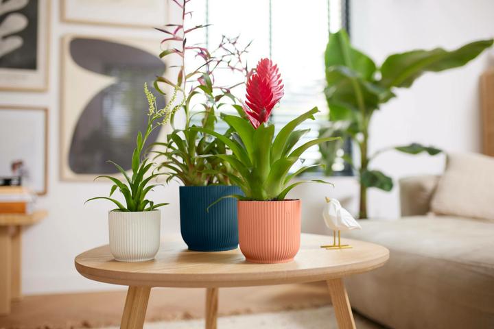 Produktbild Elho Vibes Fold (16.10 cm)