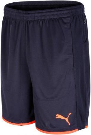 Puma It evo TRG Shorts