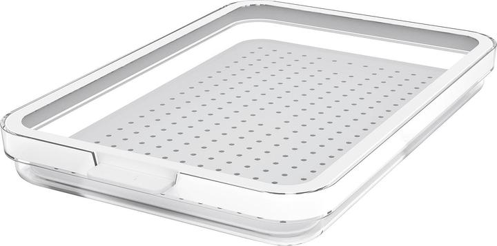 Rotho Refrigerator organis. Cauma