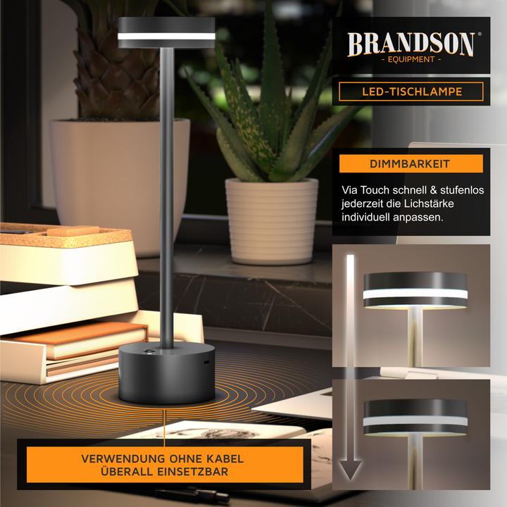 Actual product image Bearware Tischleuchte dimmbar, LED Tischlampe, 3 Lichtfarben, Akku, Helligkeitsstufen, kabellos, Silber