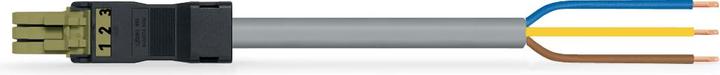 Actual product image Wago confect. Connection cable (3 m)