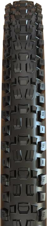 Actual product image Maxxis Assegai (29 x 2.60, 66-622)