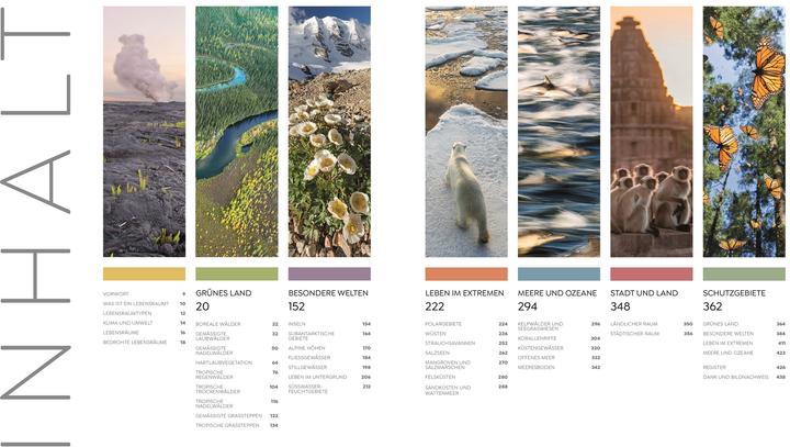 Actual product image Asher:Wilde Welten (German, Tom Jackson, Dr Claire Asher, Dr Julia Schröder, Derek Harvey., Michael Kokoscha, Claudia Franca de Abreu, Dr Rebecca Green, DK Publishing House, 2025)