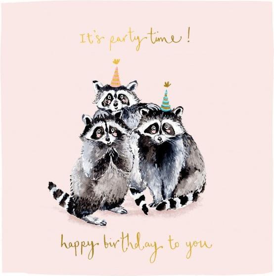 Produktbild Louise Mulgrew Geburtstagskarte Waschbären (1 Stk.)