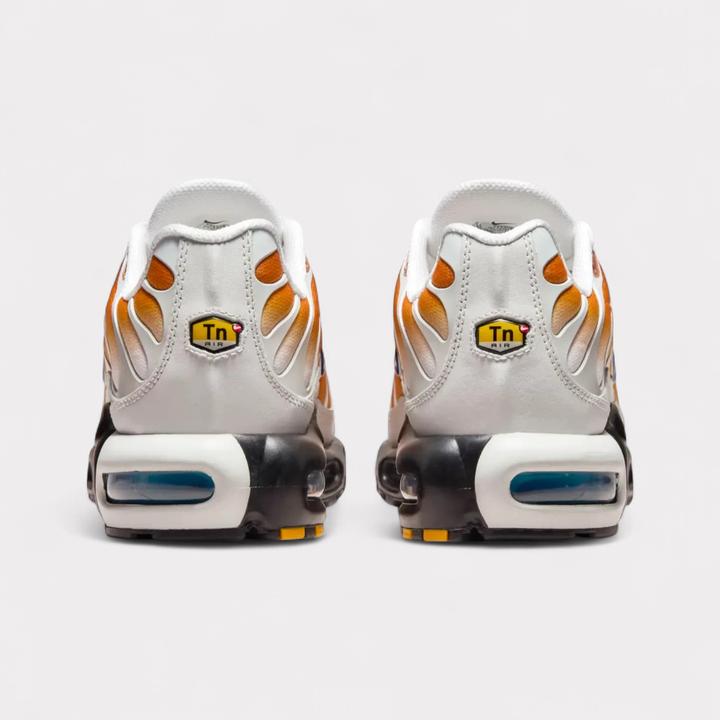 Image du produit Nike Air Max Plus One Block Down (43)