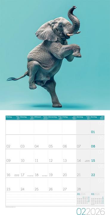 Produktbild Dancing Animals Kalender 2026