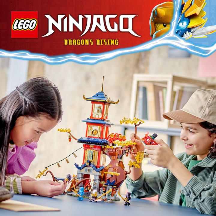 Produktbild LEGO Tempel der Drachenpower (71795, LEGO Ninjago)
