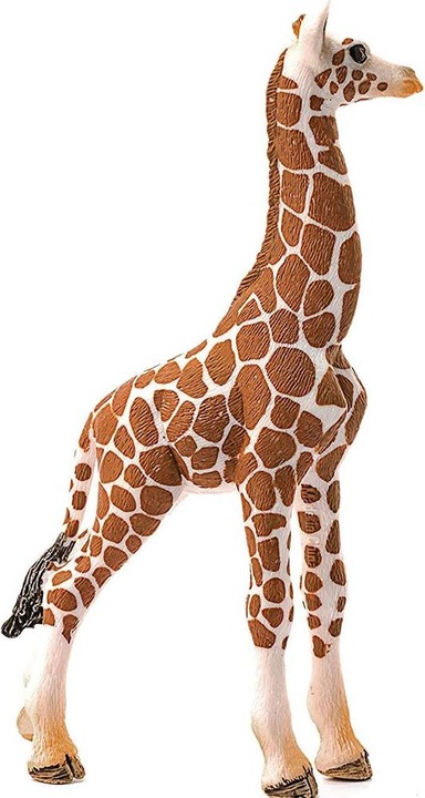 Produktbild Schleich Giraffenbaby