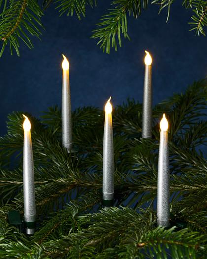 Image du produit Sirius Caroline (10 x)