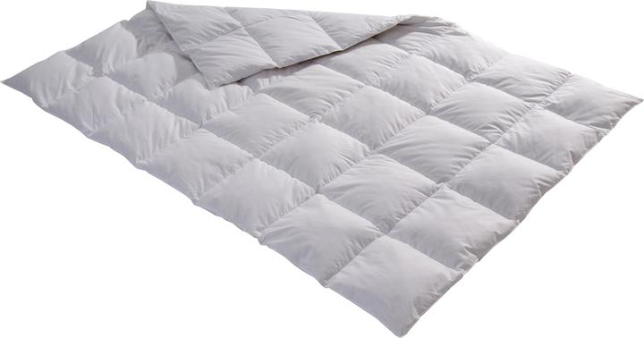 Billerbeck Edition Thea (700 g, 160 x 210 cm)