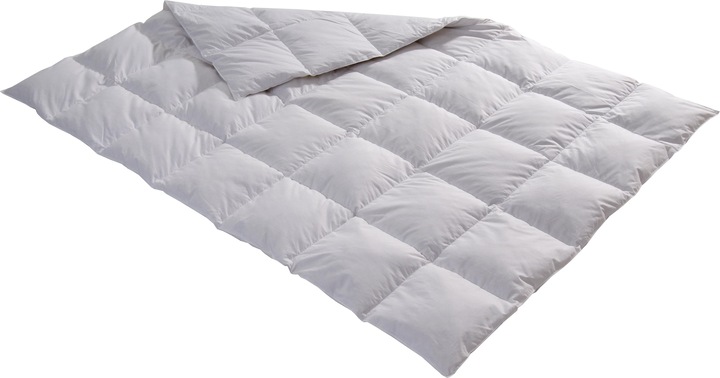 Produktbild Billerbeck Edition Thea (700 g, 160 x 210 cm)