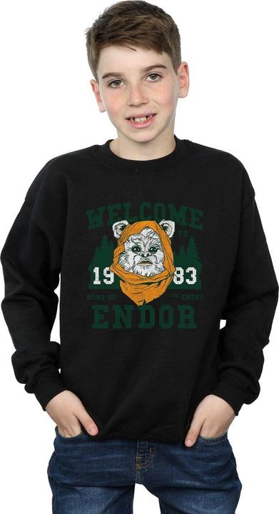 Image du produit Star Wars - Sweat ENDOR CAMP - Garçon (140, 146)