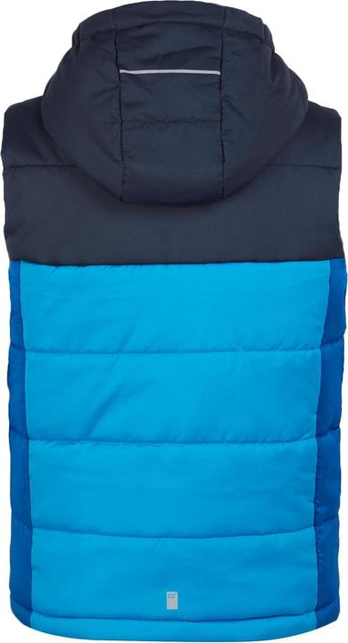 Actual product image Regatta Childrens/Kids Lofthouse II Gilet (164)