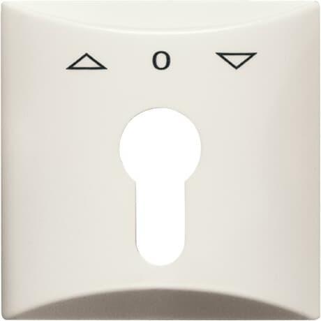 Actual product image Busch-Jaeger Central disk