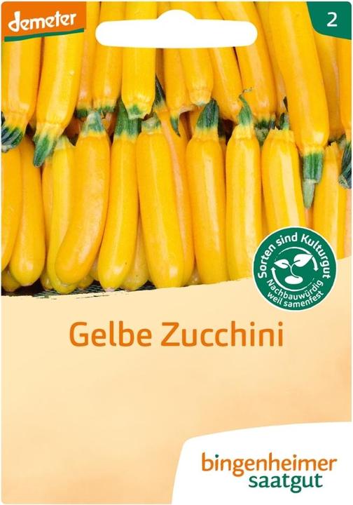Immagine prodotto Bingenheimer Saatgut Zucchini Gelb Solara (Semi di verdura)
