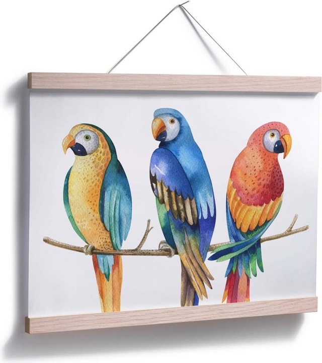 Produktbild Trenddeko Kvilis - Bunte Papageien (40 x 30 cm)