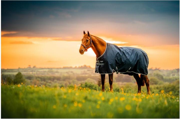 Produktbild Horseware Weidedecke Amigo Ripstop 900 0g (145 cm)