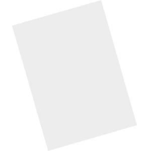 Zebra MISC-MC93-SCRN-01 Zubehör für tragbare Computer Displayschutz, Barcode-Scanner Zubehör