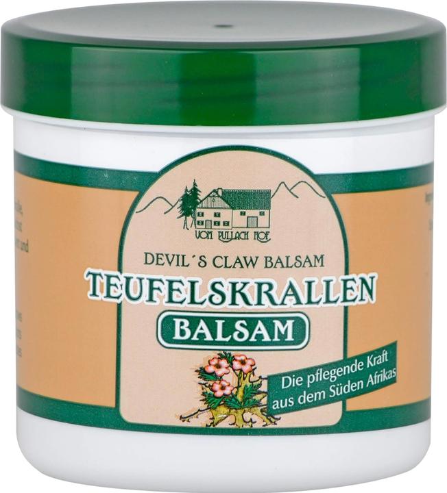 Actual product image Axisis Devil'S Claw Balm (Body cream, 250 ml)