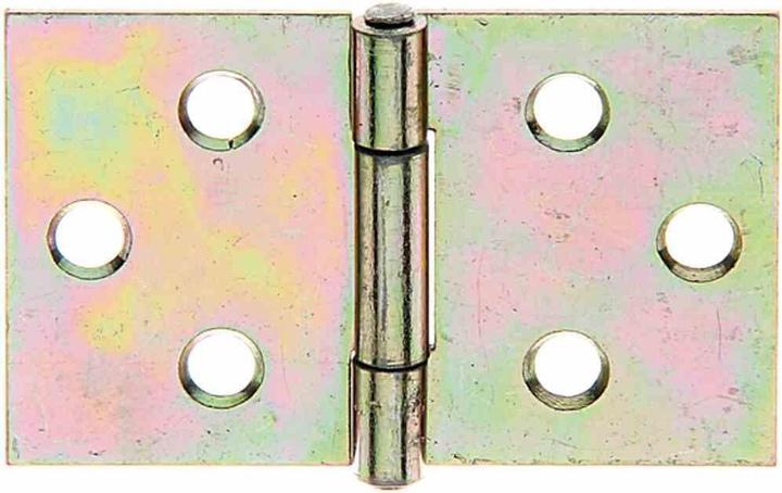 Productafbeelding Alberts Scharnier breed met geklonken messing pin, 30 x 47 mm, Galv. geel verzinkt
