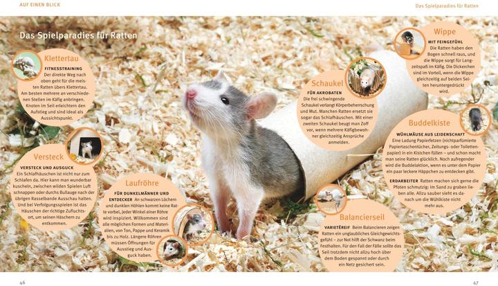 Productafbeelding Ratten (Duits, Gerd Ludwig, 2016)