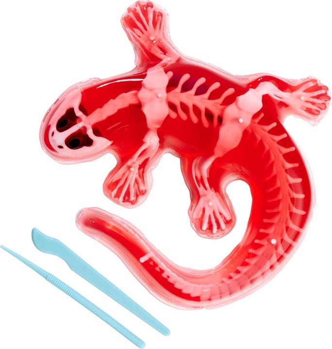 Productafbeelding Simba Scout ontleed-salamander