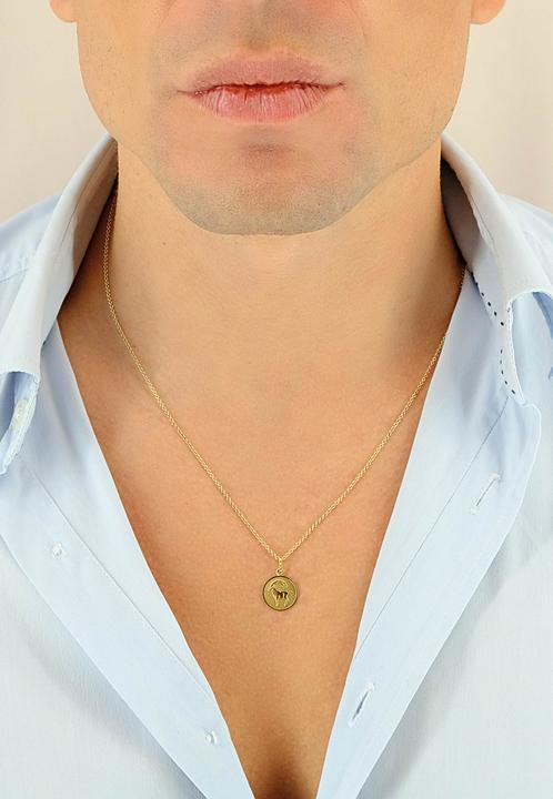 Image du produit Muau Capricorne (Or jaune)