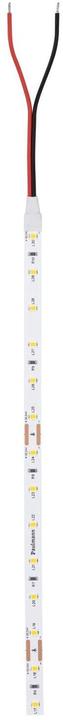 Immagine prodotto Paulmann Pro Strip Argento P25 (Bianco caldo, 500 cm, Interno)
