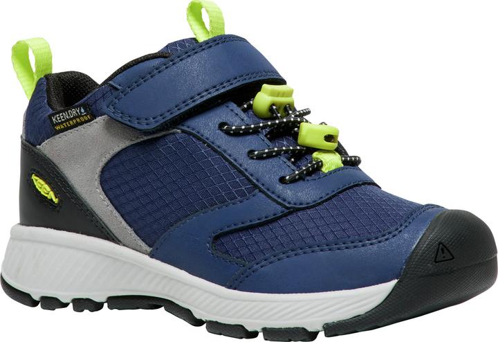 Evening primrose, Naval Academy