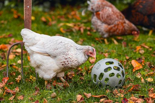 Produktbild Beeztees Huehner Snackball