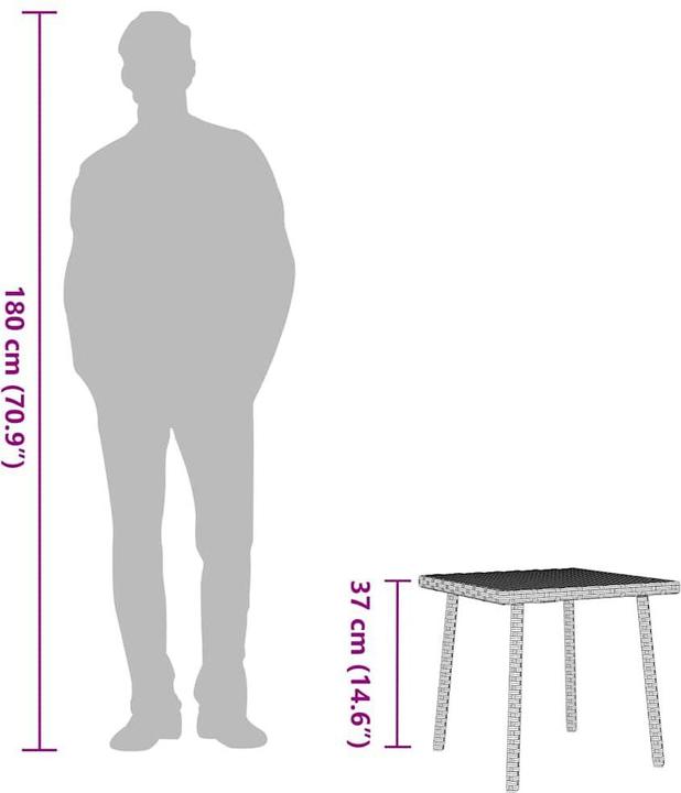 Image du produit vidaXL Garten-Couchtisch