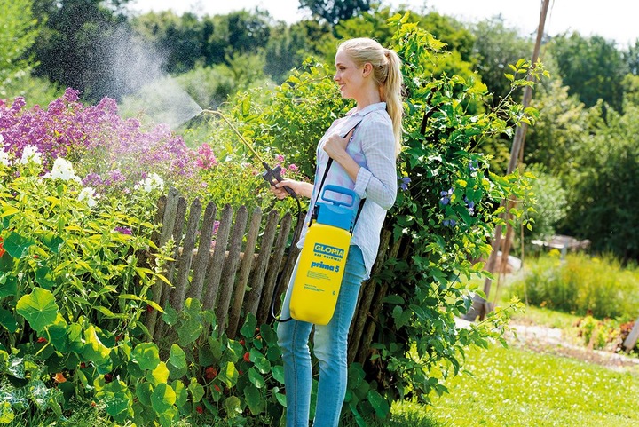 Actual product image Gloria Haus und Garten Prima 5 (5 l)