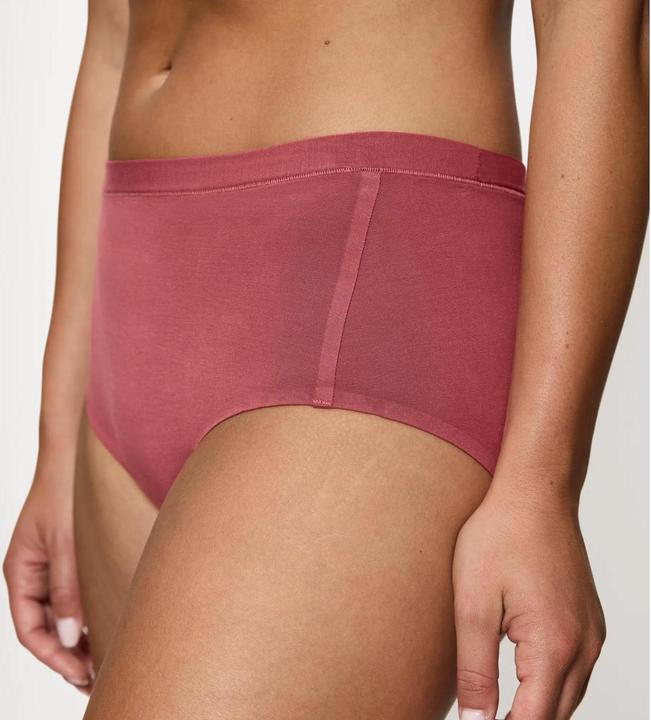 Immagine prodotto Triumph Maxislip Red Label Smart Natural (36, Confezione singola)