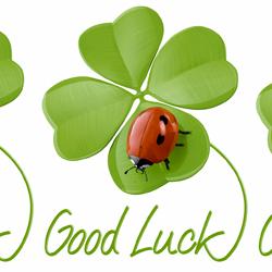 Actual product image Paper + Design Good luck handkerchiefs