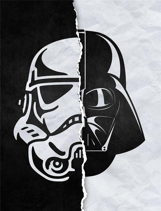 Produktbild Star Wars Leinwanddruck Half Half (80 x 60 cm)