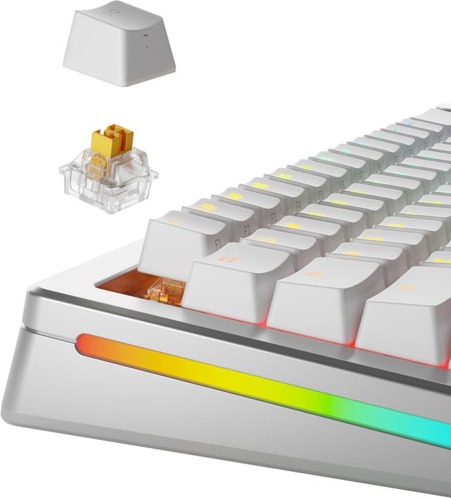 Actual product image Glorious HE Switches (36pcs) - Panda - Lubed - (Tactile) 45g