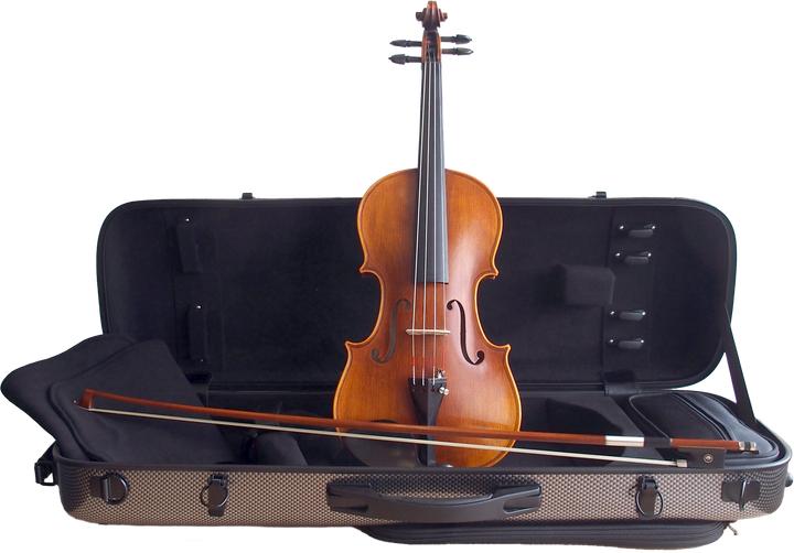 Stentor Violine 4/4, Handmade ProSeries Arcadia, Fernambuk Bogen, DeLu (4/4)