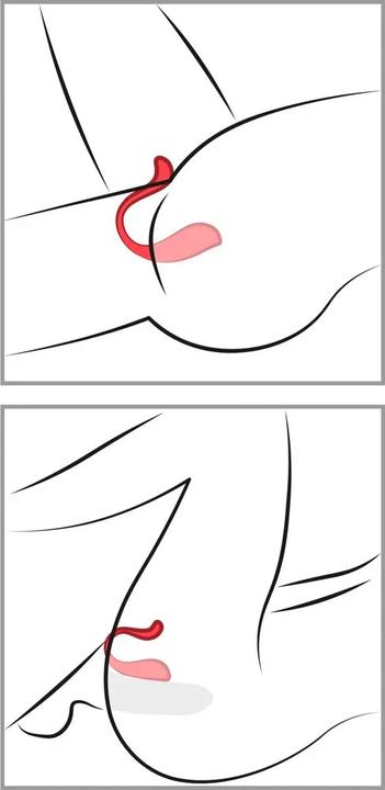 Actual product image Svakom Phoenix Neo 2