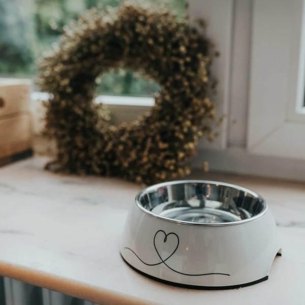 Produktbild Hunter Melamin-Napf (0.16 l)