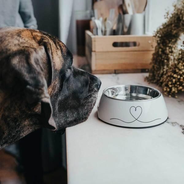 Produktbild Hunter Melamin-Napf (0.16 l)